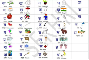 Hindi words easy 25 Must