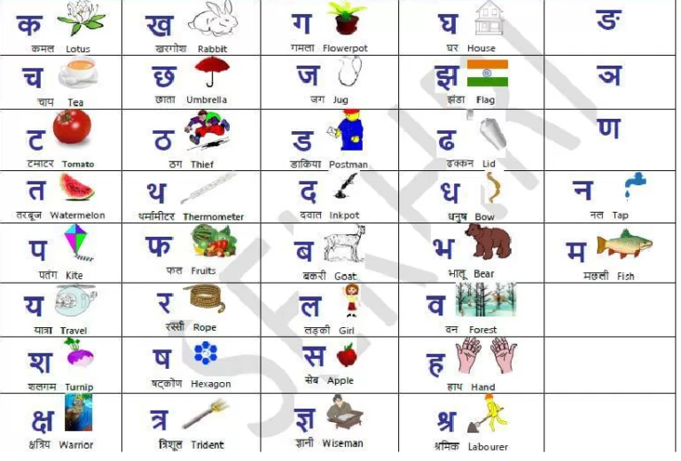 Let's learn Hindi words. - BrainCal